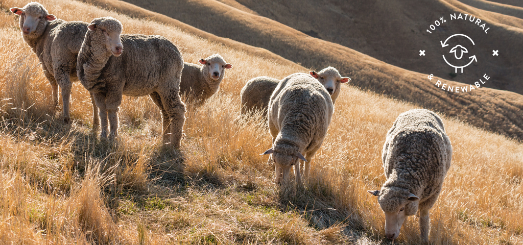 sustainable style: how merino is leading the way in ethical fashion