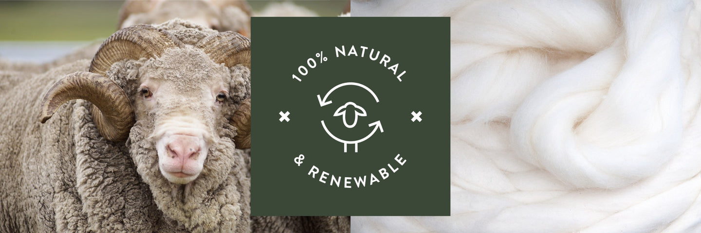 merino wool 100% renewable banner